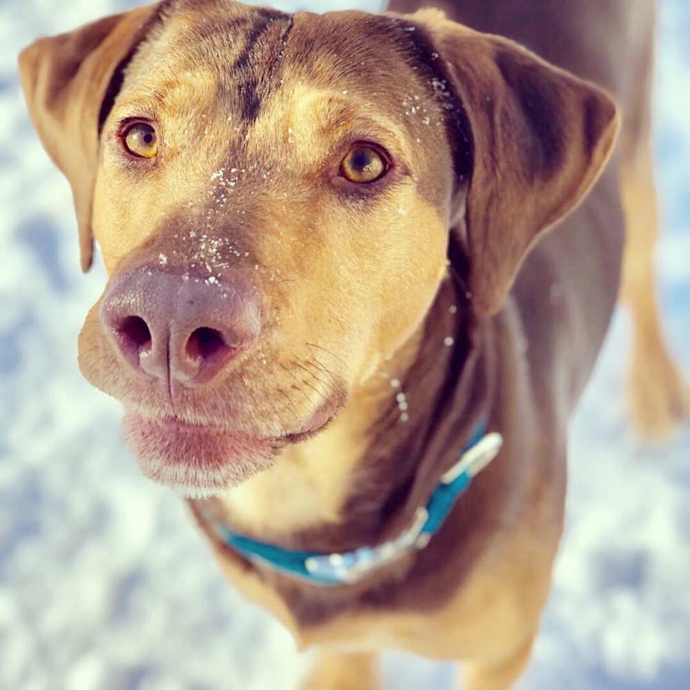 Meet your Posher, Cassie